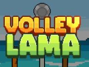 Spēle Volejlama online Spēle Volejlama online