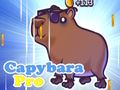 Spēle Capybara Pro online