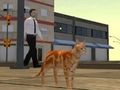 Spēle Kaķu pilsētas simulators  online