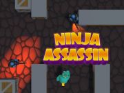 Spēle Ninja slepkava online