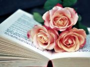 Spēle Blooms FinSaw grāmata online