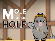 Spēle Mols caurumā online