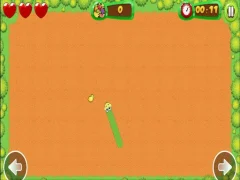 Spēle Fruit Snake online