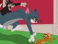 Spēle Tom and Jerry: Chasing Jerry online