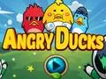 Spēle Angry Ducks online