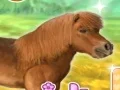 Spēle My Dear Pony online