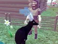 Spēle Deer Simulator 3D online