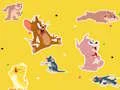 Spēle The Tom and Jerry Show Find it! online