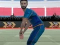 Spēle Cricket Powerplay online