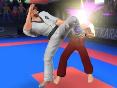 Spēle Karate Fighter online