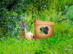 Spēle Return To Alsunga Forest online