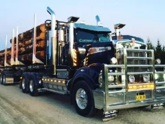Spēle American City Truck Transporting online