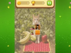 Spēle Farm Cat Memory Match online
