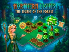 Spēle Northern Lights - The Secret Of The Forest online