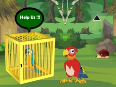 Spēle Release Trapped Macaw Buddy online