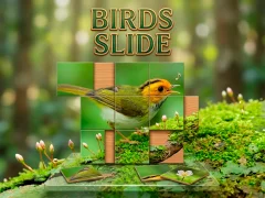 Spēle Birds Slide online