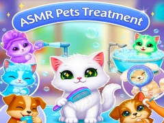 Spēle ASMR Pets Treatment online