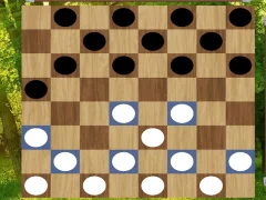Spēle Classic Checkers: Forest online