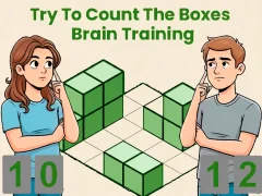 Spēle Try To Count The Boxes Brain Training online