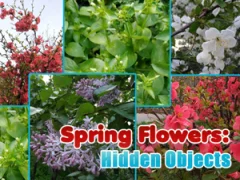Spēle Spring Flowers: Hidden Objects online
