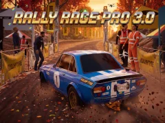 Spēle Rally Race Pro 3 online