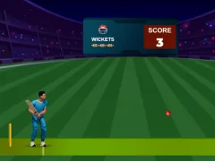 Spēle Cricket Night 2 online