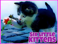 Spēle Six Little Kittens online