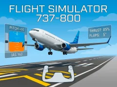 Spēle Flight Simulator 737-800 online