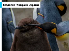 Spēle Emperor Penguin Jigsaw online