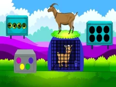 Spēle Lamb Escape online