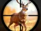 Spēle Wild Hunting Clash online