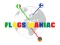 Spēle Flags Maniac online