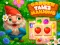 Spēle Garden Tales Mahjong online