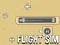 Spēle Flight Sim online