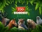 Spēle ZOO Trivia online