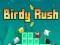 Spēle Birdy Rush online