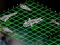 Spēle Intergalactic Battleships online
