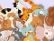 Spēle Find The Kitty online