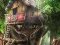 Spēle Hidden Treehouse online