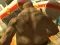 Spēle Monster Simulator online
