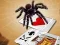 Spēle Jumping Spider online