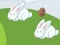 Spēle Crazy Eggs online