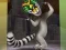 Spēle King Julien: Trommel-Tanz online