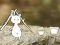 Spēle Our Little Island online