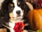 Spēle Puzzle Pics Addition Facts online
