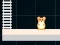 Spēle Hamster Grid Even Odd online