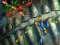 Spēle Fishing King online