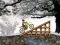 Spēle Ice Biker online