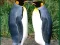 Spēle Penguin Puzzle online