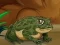 Spēle Frogs Matching online